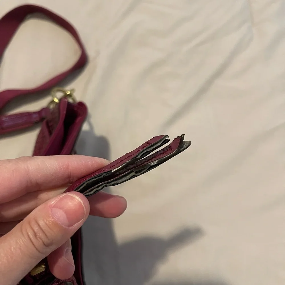 Coach crossbody snake